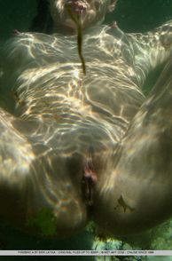 Naked Girl Underwater Showing Pussy